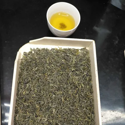 Organic Green Tea Loose Leaf or in Pyramid Bags