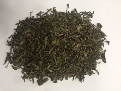 Organic Green Tea Loose Leaf or in Pyramid Bags