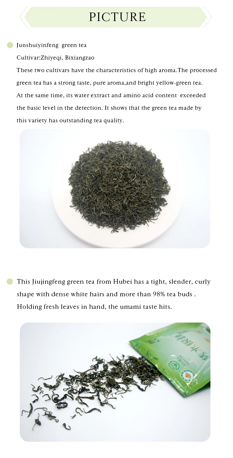 Chinese Green Tea Wholesale in Pack for Sale