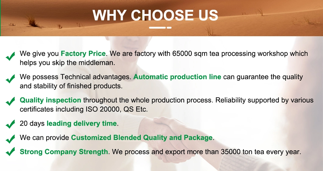 Factory Direct 9375 Special Powder Green Tea for Europe Market Customized
