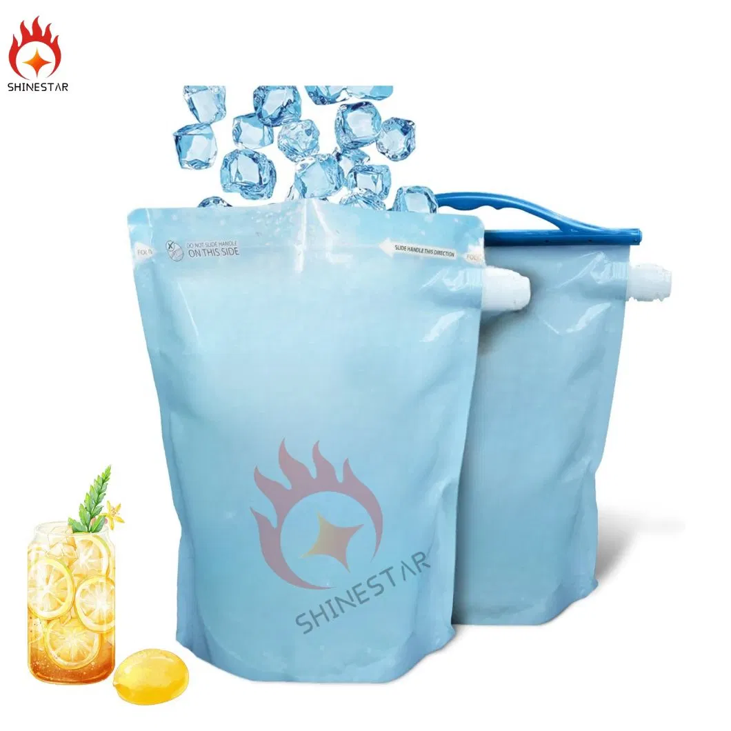 Reusable Ice Pack for Cooler Plastic Packaging Bag Ice Cube Packing Bags Spout Pouch