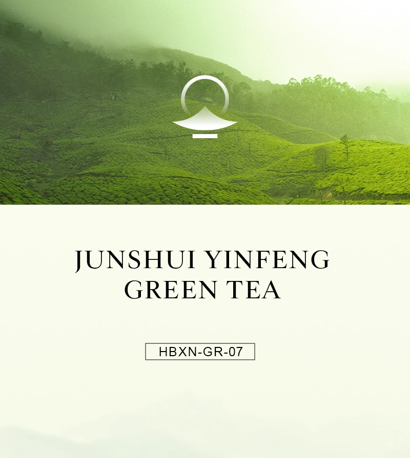 Chinese Green Tea Wholesale in Pack for Sale