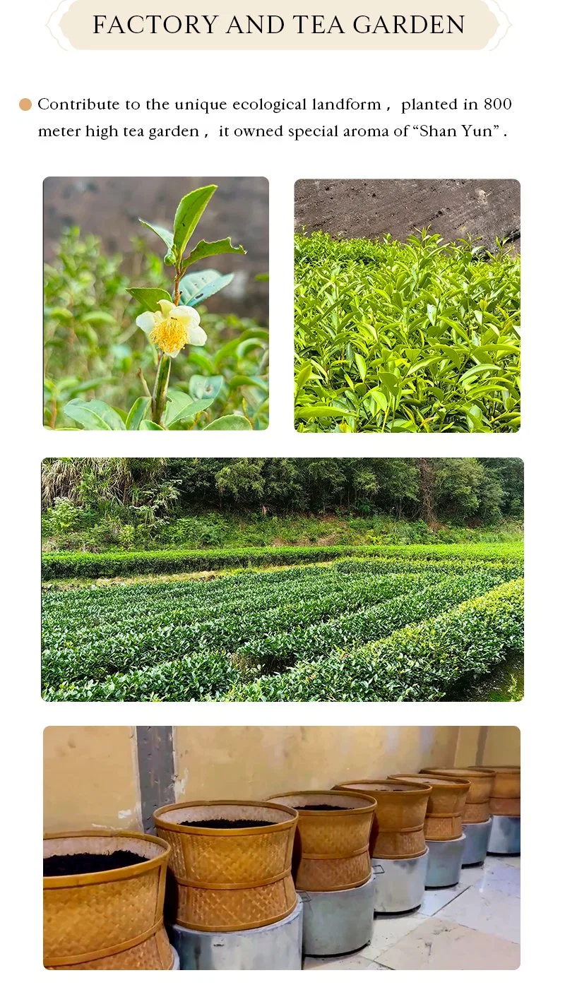 China Premium Loose Tea Black Tea Wholesale in Pack for Sale
