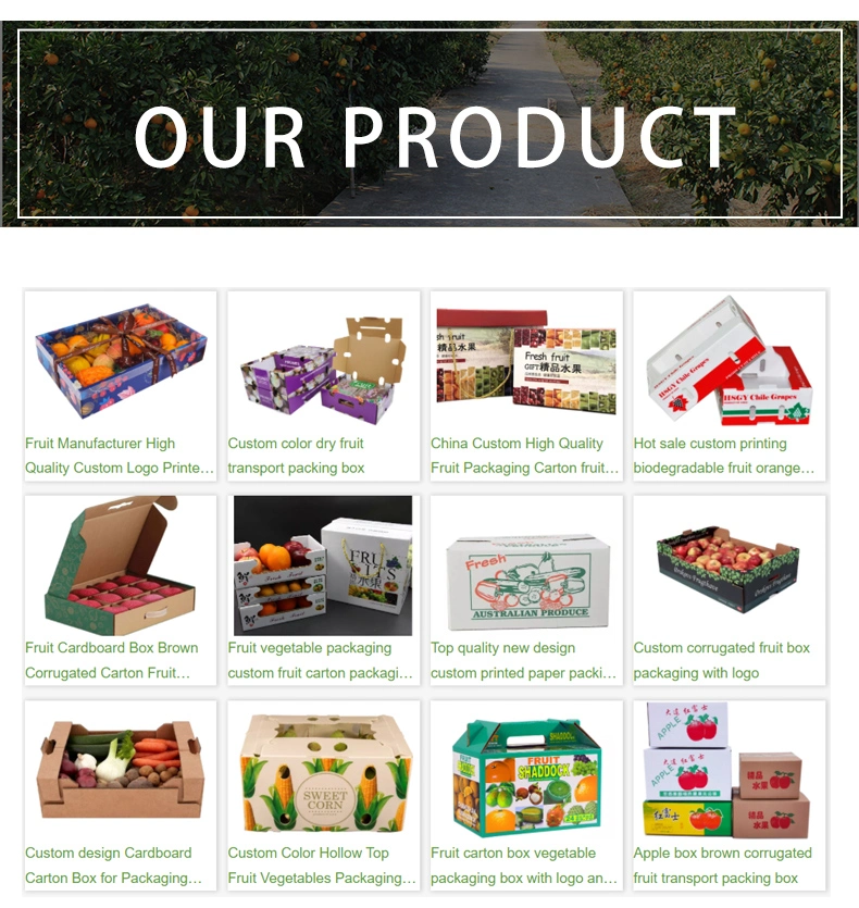 OEM Custom Food Grade Biodegradable Cylinder Box Tea Kraft Paper Tube Packaging