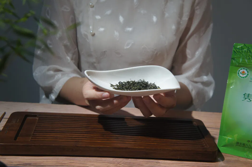 Chinese Green Tea Wholesale in Pack for Sale