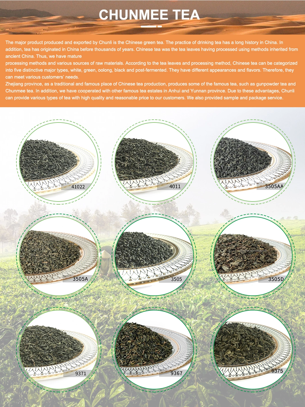 Chinese 41022 4A Green Tea Free Sample Tea Healthy Benefits Factory Direct Customized Package