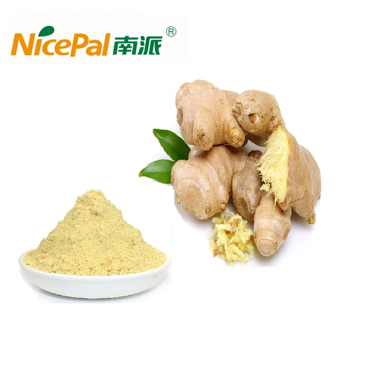 High Quality Ginger Powder for Ginger Tea