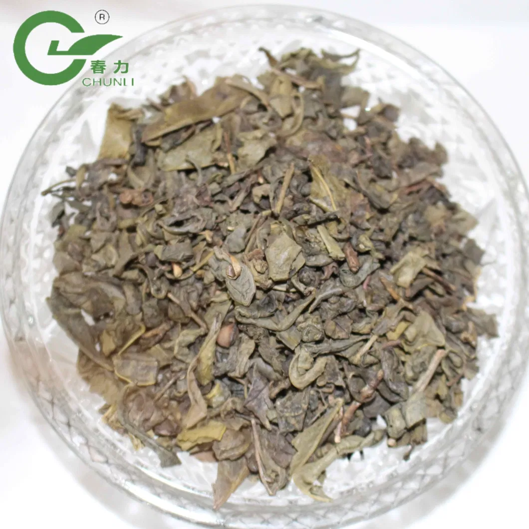 China Green Tea Best Extra Good Gunpowder 9575 AAA Tea Tree Leaves for West Africa