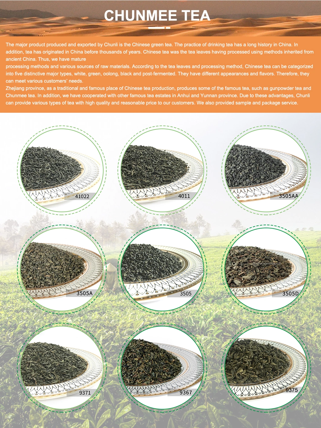 China Green Tea Best Extra Good Gunpowder 9575 AAA Tea Tree Leaves for West Africa