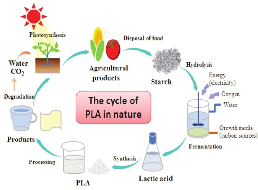 Nonwovens Bagged PLA Biodegradable Filter for Tea Packaging Coffee Bags