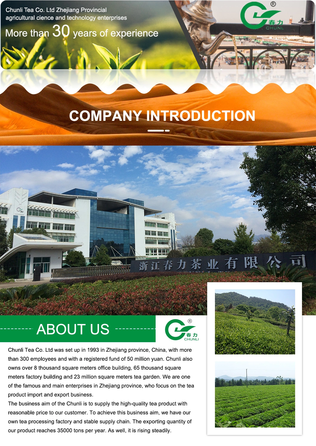 Factory Direct 9375 Special Powder Green Tea for Europe Market Customized