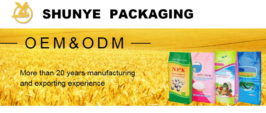 25kg Made in China High Quality PP Woven Biodegradable Packaging Plastic Rice/Tea Bags
