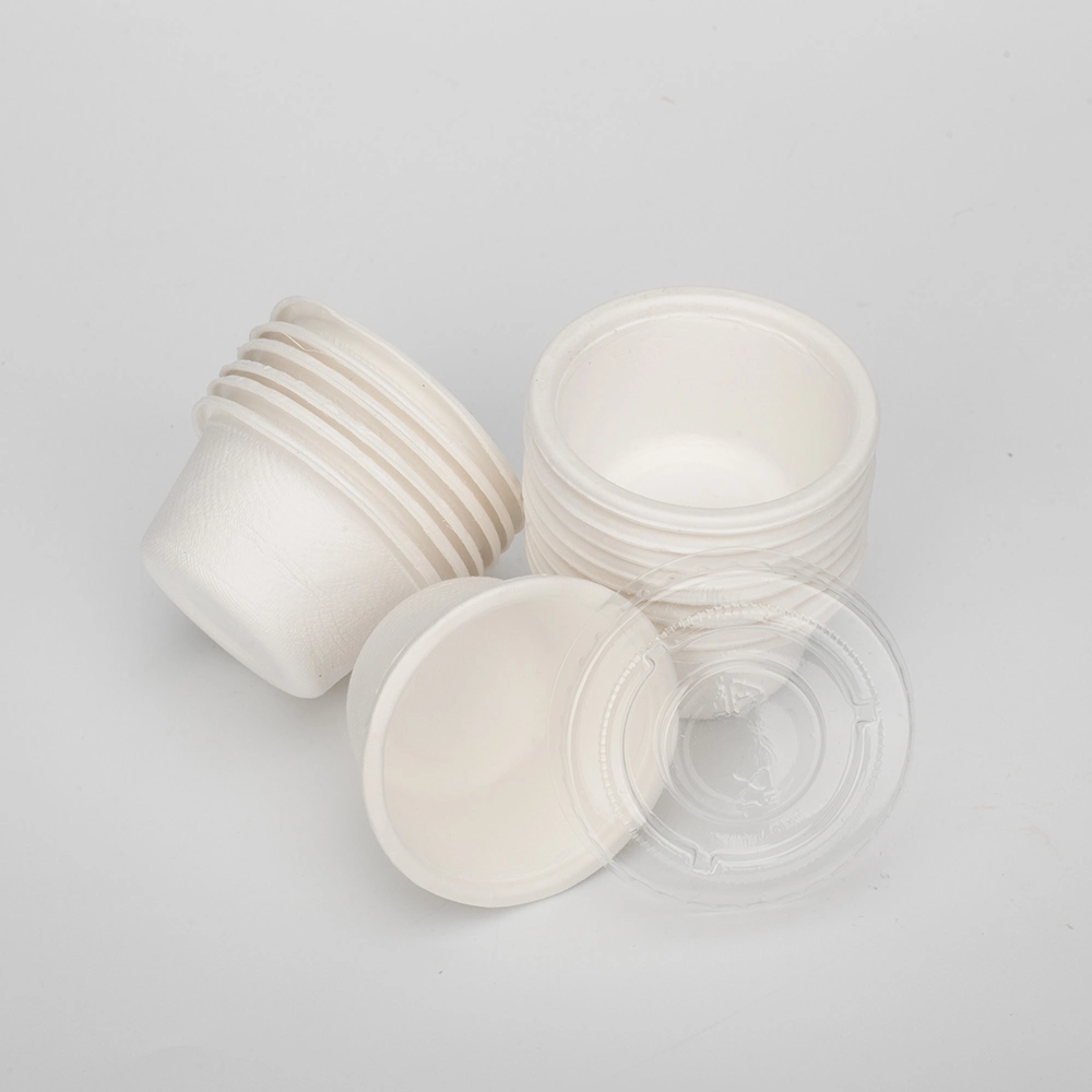 Biodegradable Compostable PLA Disposable Biodegradable Salad Bowl Containers Sugarcane Bagasse for Food in Paper