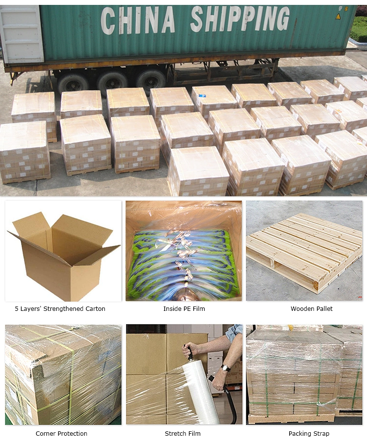 Laminated Material Doypack Compostable Kitchen Bag Factory in China