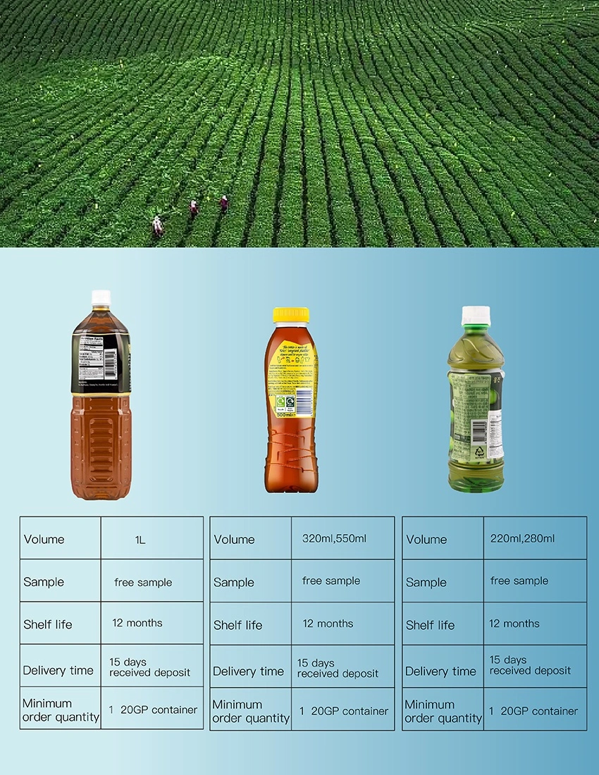 Factory Tea Supplier, 350ml Pet Bottle Good Taste Green Tea, High Quality Produce Tea