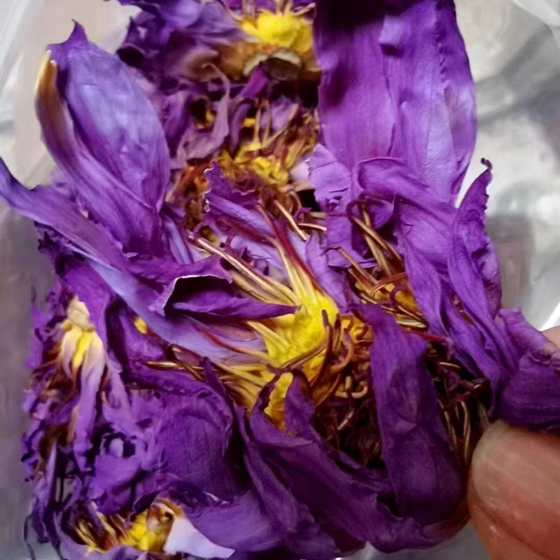 Lavender violet jasmine Pyramid Tea Bag Tea ball Flower Tea