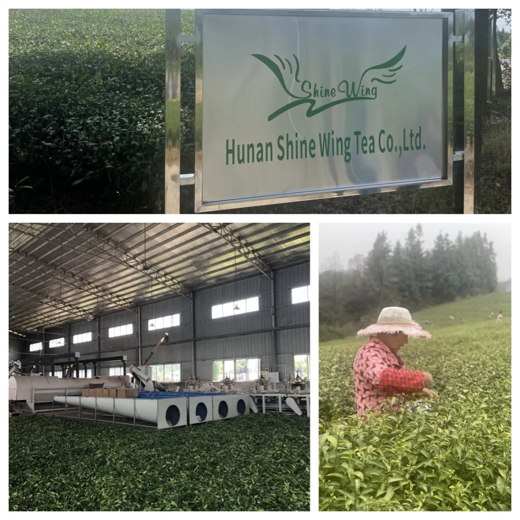 Certified Premium Eustandard Organic Black Tea Ctc China Ctc Black Tea Fanning Tea