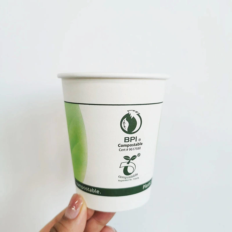 Customized Printed Double Wall Paper Cup Coffee Paper Cup Packaging with PLA Coated