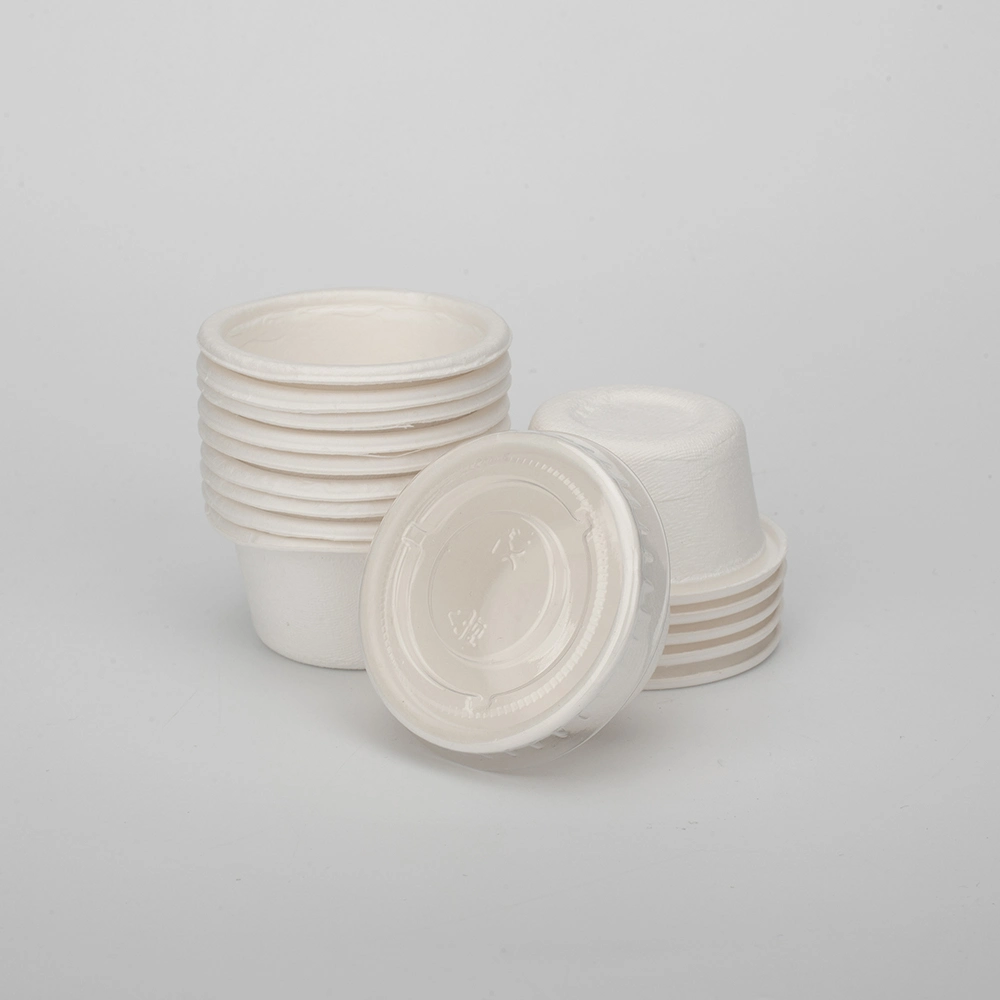 Biodegradable Compostable PLA Disposable Biodegradable Salad Bowl Containers Sugarcane Bagasse for Food in Paper