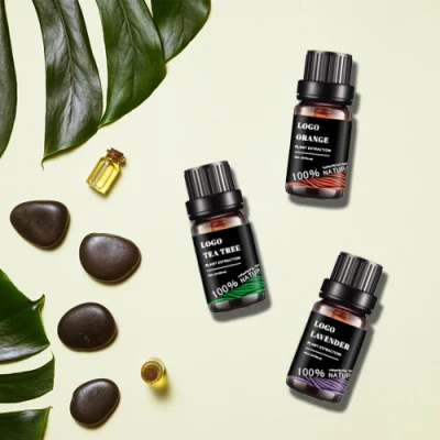 Oli organici per diffusore HL- Produttore, Top 3/10ml Lavanda, Tea Tree, oli essenziali di Aromatherapy 100% puri e naturali, di grado terapeutico
