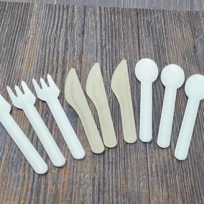 Bagasse biodegradabile per alimenti canna da zucchero forcella coltelli cucchiaio monouso Posate in bagasse