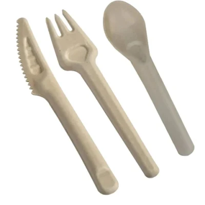 Posate biodegradabili Pasta di zucchero in bagasse Pasta compostabile cucchiaio/forchetta/coltello Kit posate per Stoviglie monouso