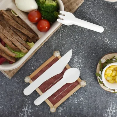 100% biodegradabile Baule monouso in bagasse di canna da zucchero Set di forcelle a coltello Cucchiaio