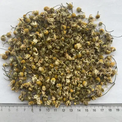 Salute cibo tè alle erbe fiori di camomilla essiccati per il tè dell&prime;estratto Frullare