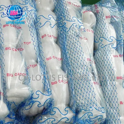 Fabbrica vende monofilamento nailon nailon rete di pesca del lago grigio della Nigeria