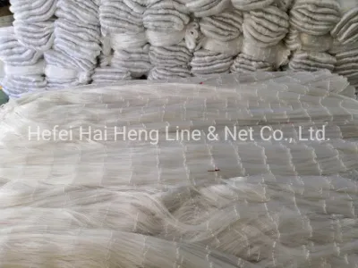 0,20 mm X 36 tele X 60 MD X 200 m X 8&quot; Nylon Rete da pesca rete rete di riempimento rete di torsione nylon Multi-monofilament rete di pesce