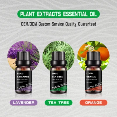 Oli organici per diffusore HL- Produttore, Top 3/10ml Lavanda, Tea Tree, oli essenziali di Aromatherapy 100% puri e naturali, di grado terapeutico