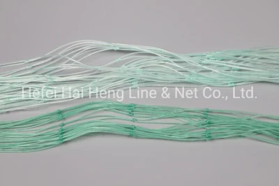0,20 mm X 6 veli X 240 MD X 200 m X nylon 3-3/8&quot; Rete da pesca rete rete di riempimento rete di torsione di pesce rete nylon Multi-monofilament