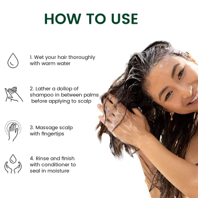 Olio di Tea Tree di zenzero naturale di cuoio capelluto di menta Shampoo Riparazione Anti perdita di capelli crescita dei capelli Shampoo e Conditioner