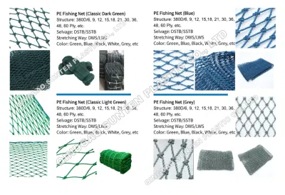 Annodato/senza nodi/monofilamento/multifilamento/sicurezza intrecciata/Pollo/pollame/uccello/reti da traino/Pesci/reti da pesca in HDPE/PE/polietilene/poliestere/nylon/PA