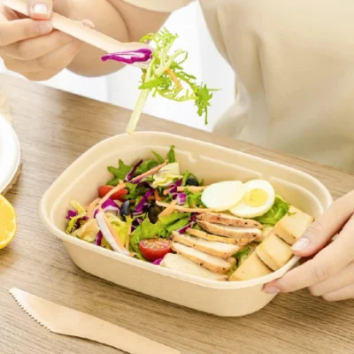 100% biodegradabile Baule monouso in bagasse di canna da zucchero Set di forcelle a coltello Cucchiaio