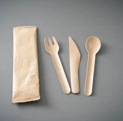 100% biodegradabile Baule monouso in bagasse di canna da zucchero Set di forcelle a coltello Cucchiaio