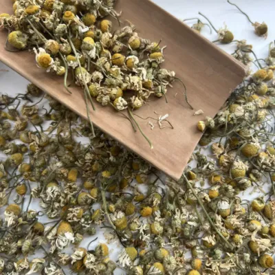 Salute cibo tè alle erbe fiori di camomilla essiccati per il tè dell&prime;estratto Frullare