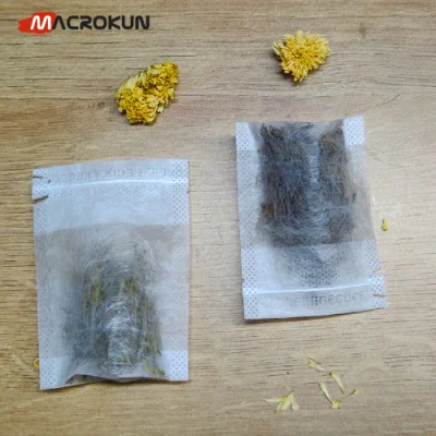 Sacchetti da tè in fibra di mais con logo personalizzato PLA vuoti, tè biodegradabile Sacchetto filtrante con sacchetto per tè con stringa di traino interna