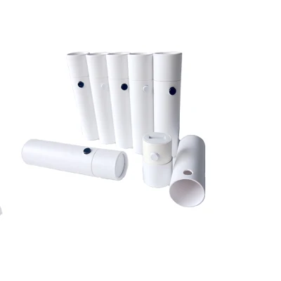 Sacchetti per contenitore per tè Premium in cartone biodegradabile con stampa personalizzata Confezione di confezioni di provette regalo per il pacchetto tè sciolto
