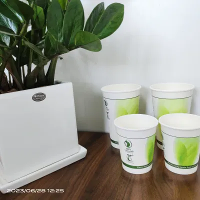 Tazza di carta patinata in PLA completamente degradabile, caffè ispessito a uno e due strati, tè al latte, bevande fredde e calde, confezione di tazze di carta cave