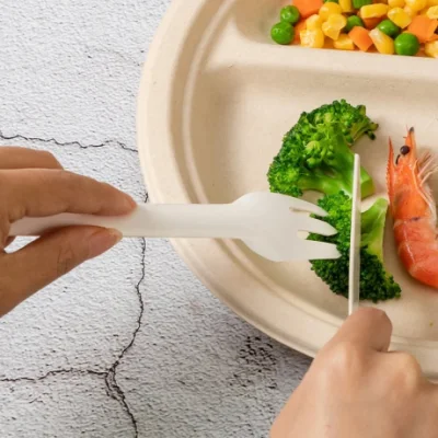 100% biodegradabile Baule monouso in bagasse di canna da zucchero Set di forcelle a coltello Cucchiaio