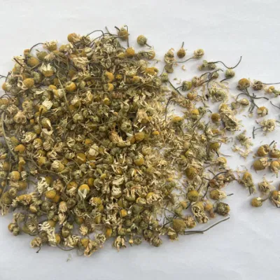 Salute cibo tè alle erbe fiori di camomilla essiccati per il tè dell&prime;estratto Frullare