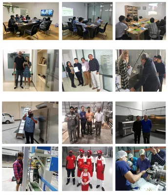 Tunnel industriale microonde CTC Balck Tea Powder Sterilizer Equipment