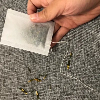 Sacchetto da tè vuoto con cordino in carta da 6*8cm personalizzato e termosaldante Nessun tag