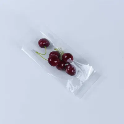 Confezionamento di alta qualità in sacchetti compostabili PLA