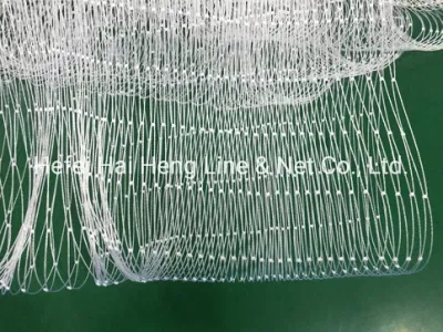 Rete di pesca di nylon di rete di Monofilament di rete di riempimento della rete di pesce 0.10mm--1.20mm