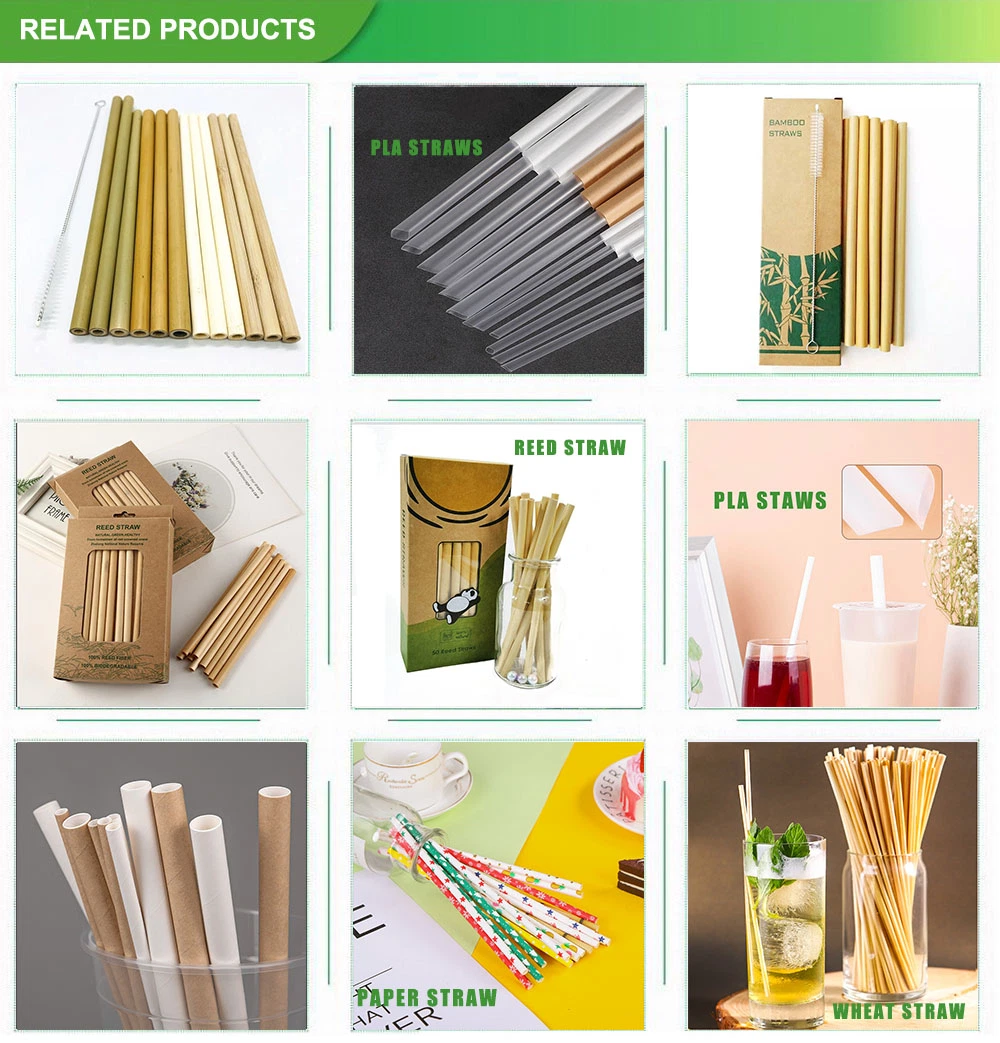 S Juice Eco-Friendly Individually Packaged Biodegradable Plas Straw