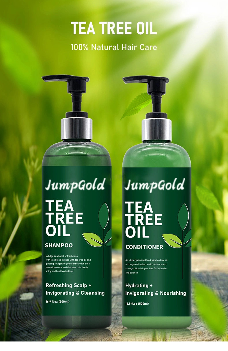 Wholesale Natural Hair Grow Shampoo Hair Loss Organic Ginger Mint Tea Tree Oil Shampoo