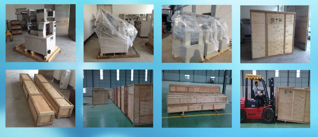 Pillow Pack Center Sealed, on Request with or Without Gusset Device. Film Offer Ruipuhua Tea Bag Packing Wrap Machine