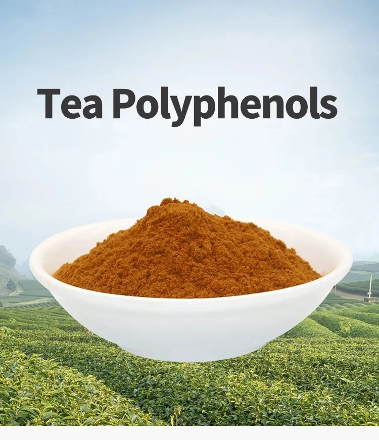 Natural Organic 95% Green Tea Extract Polyphenols 84650-60-2 Tea Polyphenol